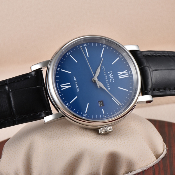 アイ・ダブリュー・シー側面デザイン